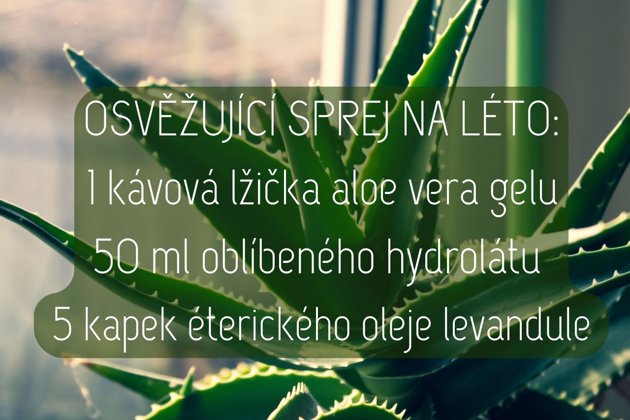 aloe vera gel použití